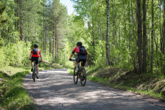 rattviksjakten_2018_all-538