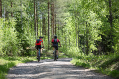 rattviksjakten_2018_all-540