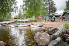 Rattviksjakten2019-0559