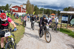 IMG_7287